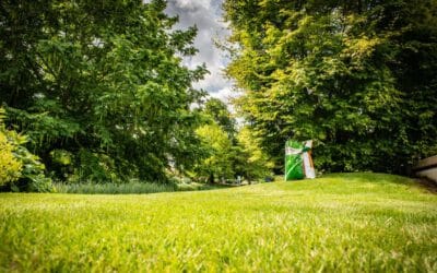 Rasenpflege-Tipps: Vermeidung von Sommerstress