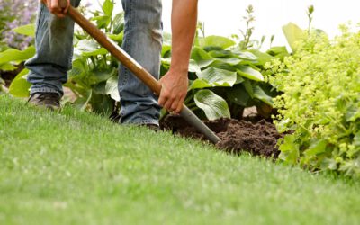 Vorbeugung und Bekämpfung von Moos in Rasenflächen: Praktische Tipps für einen gesunden Gartenrasen