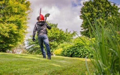 Richtige Düngerausbringung für Ihren Rasen